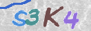 CAPTCHA (Şahıs Denetim Kodu) Resmi