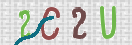 CAPTCHA (Şahıs Denetim Kodu) Resmi