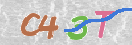 CAPTCHA (Şahıs Denetim Kodu) Resmi