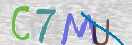 CAPTCHA (Şahıs Denetim Kodu) Resmi