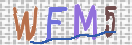 CAPTCHA (Şahıs Denetim Kodu) Resmi