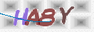 CAPTCHA (Şahıs Denetim Kodu) Resmi