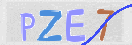 CAPTCHA (Şahıs Denetim Kodu) Resmi