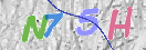 CAPTCHA (Şahıs Denetim Kodu) Resmi