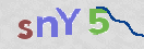 CAPTCHA (Şahıs Denetim Kodu) Resmi