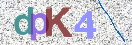 CAPTCHA (Şahıs Denetim Kodu) Resmi