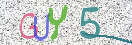 CAPTCHA (Şahıs Denetim Kodu) Resmi