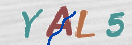 CAPTCHA (Şahıs Denetim Kodu) Resmi