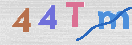 CAPTCHA (Şahıs Denetim Kodu) Resmi