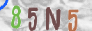 CAPTCHA (Şahıs Denetim Kodu) Resmi