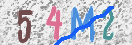 CAPTCHA (Şahıs Denetim Kodu) Resmi