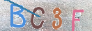CAPTCHA (Şahıs Denetim Kodu) Resmi