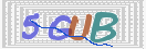 CAPTCHA (Şahıs Denetim Kodu) Resmi
