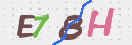 CAPTCHA (Şahıs Denetim Kodu) Resmi