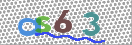 CAPTCHA (Şahıs Denetim Kodu) Resmi