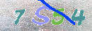 CAPTCHA (Şahıs Denetim Kodu) Resmi