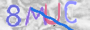 CAPTCHA (Şahıs Denetim Kodu) Resmi