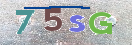 CAPTCHA (Şahıs Denetim Kodu) Resmi