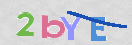 CAPTCHA (Şahıs Denetim Kodu) Resmi