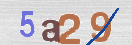 CAPTCHA (Şahıs Denetim Kodu) Resmi